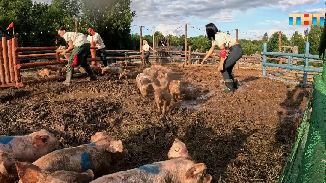 где снимали шоу первые на деревне