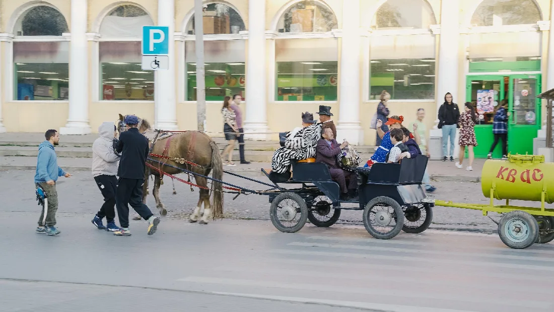 тополиный пух таганрог