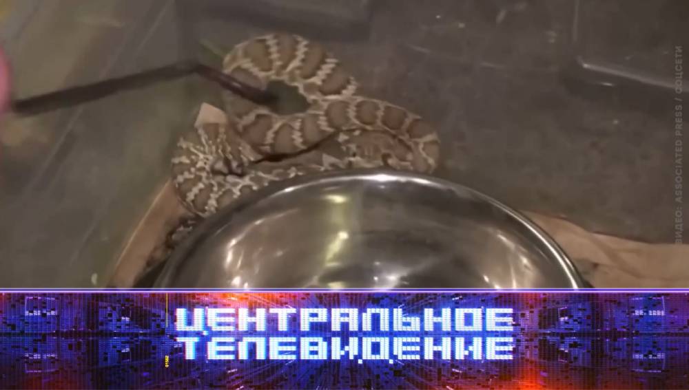 Центральное телевидение от 10.05.2025