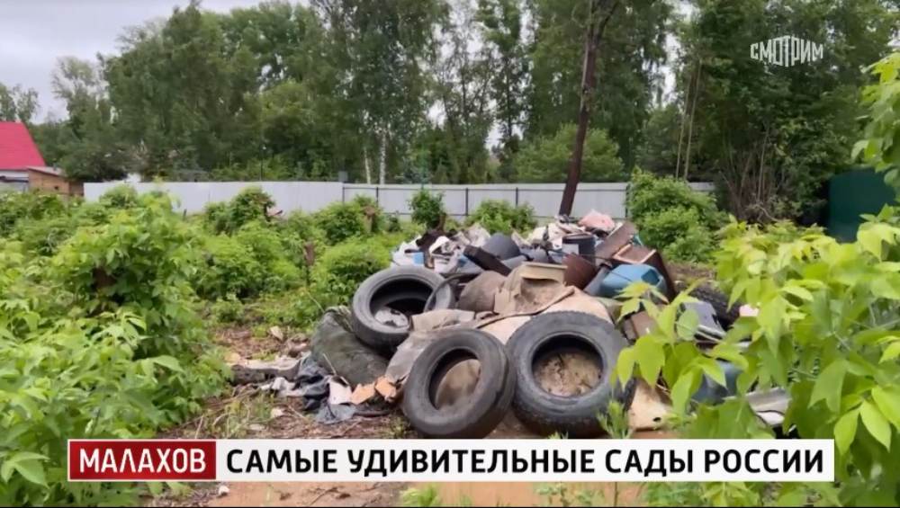 Малахов выпуск 11.08.2025
