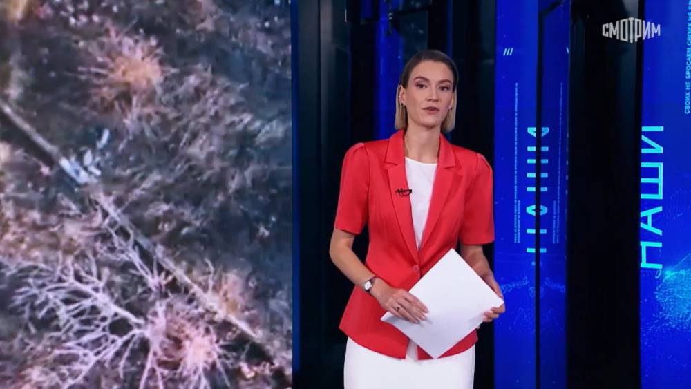 Наши Военкоры 3.08.2025