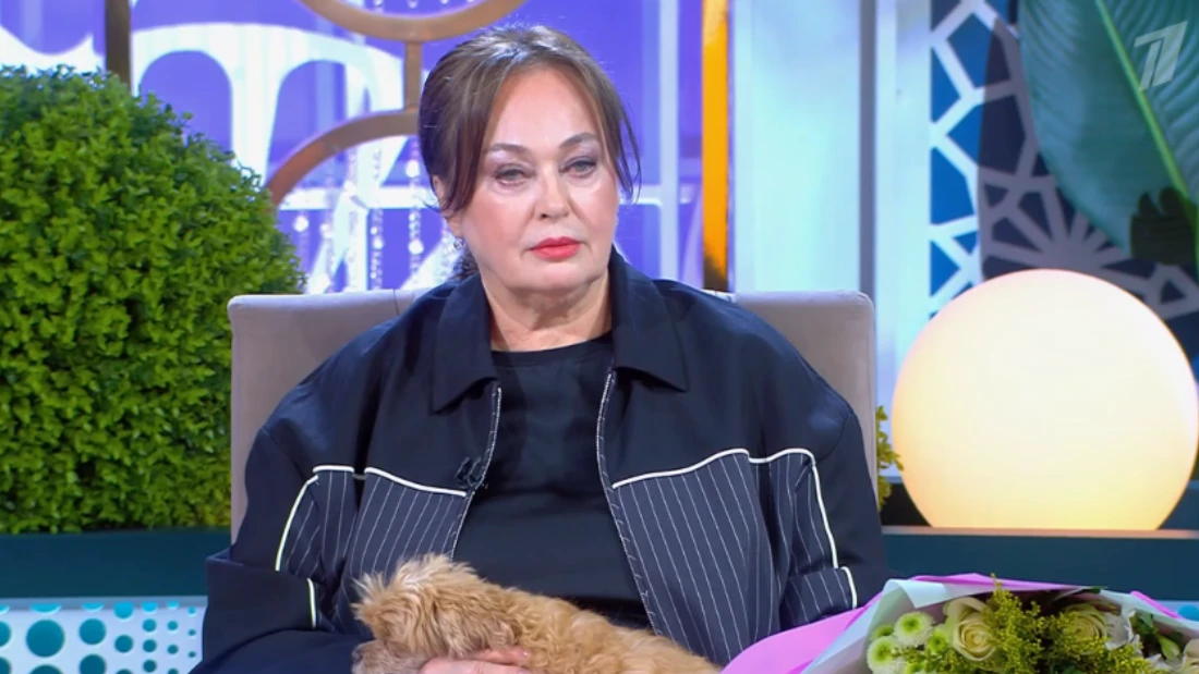 Давай поженимся 30.10.2025