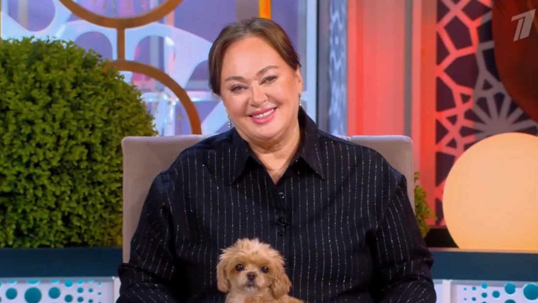 Давай поженимся 13.11.2025