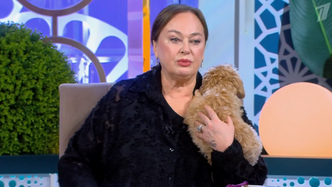 Давай поженимся 17.11.2025