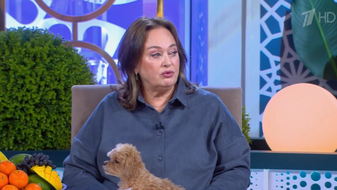 Давай поженимся 19.11.2025