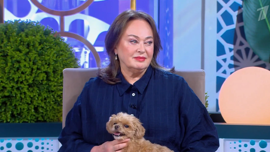 Давай поженимся 27.11.2025