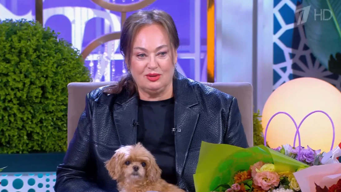 Давай поженимся 07.11.2025