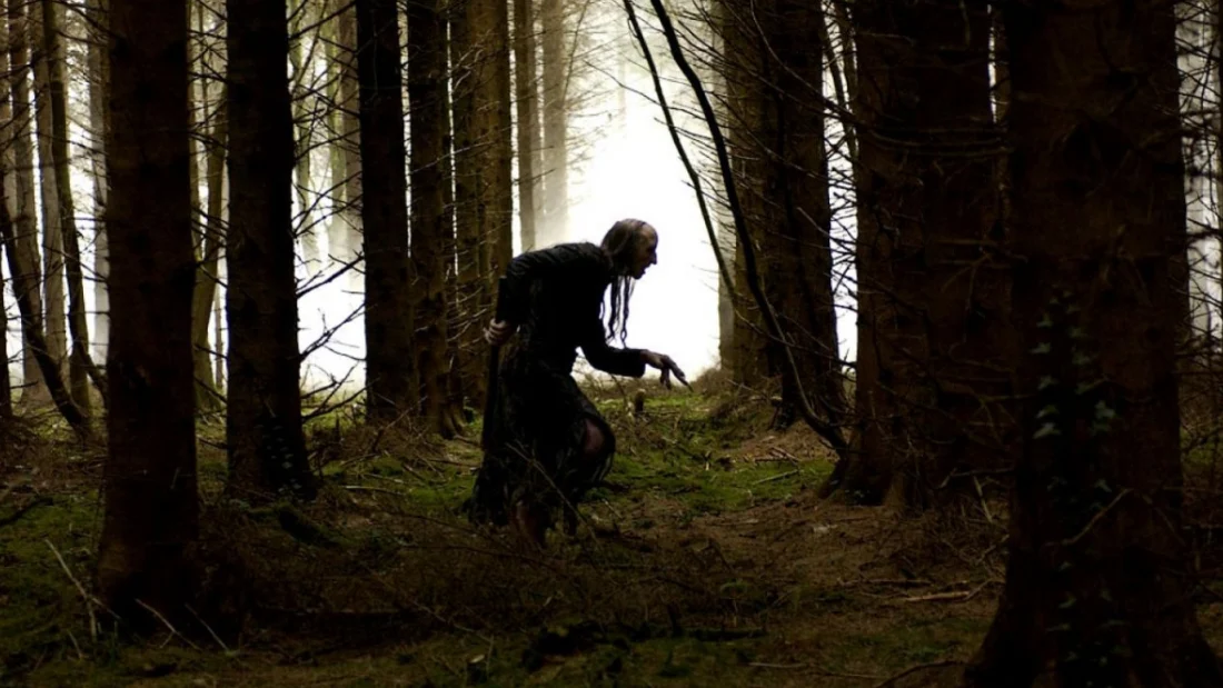 значение фильма грибы