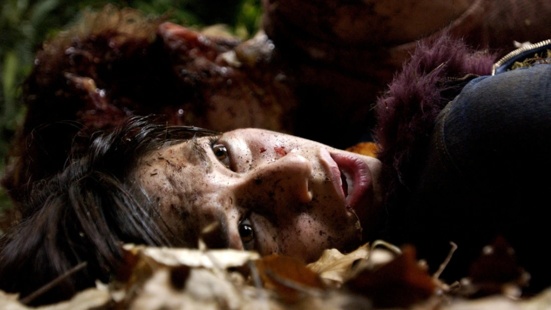 разбор фильма грибы