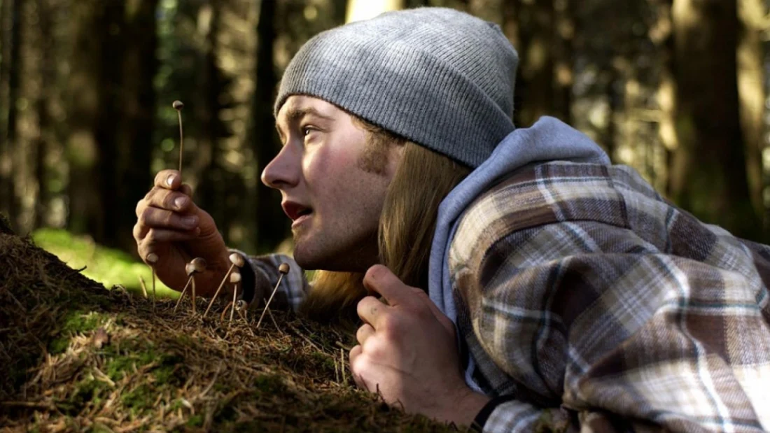 смысл фильма Грибы