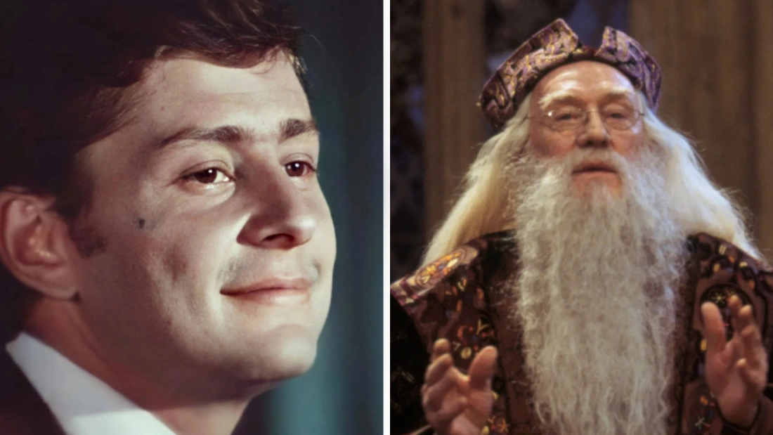 актеры озвучки гарри поттера