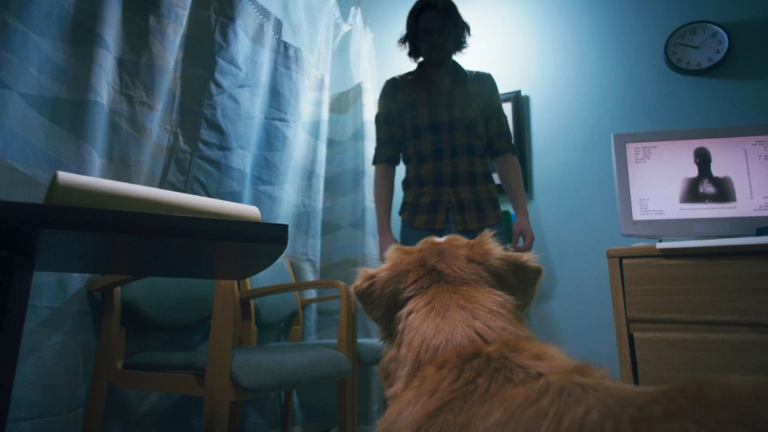 глазами пса смысл концовки