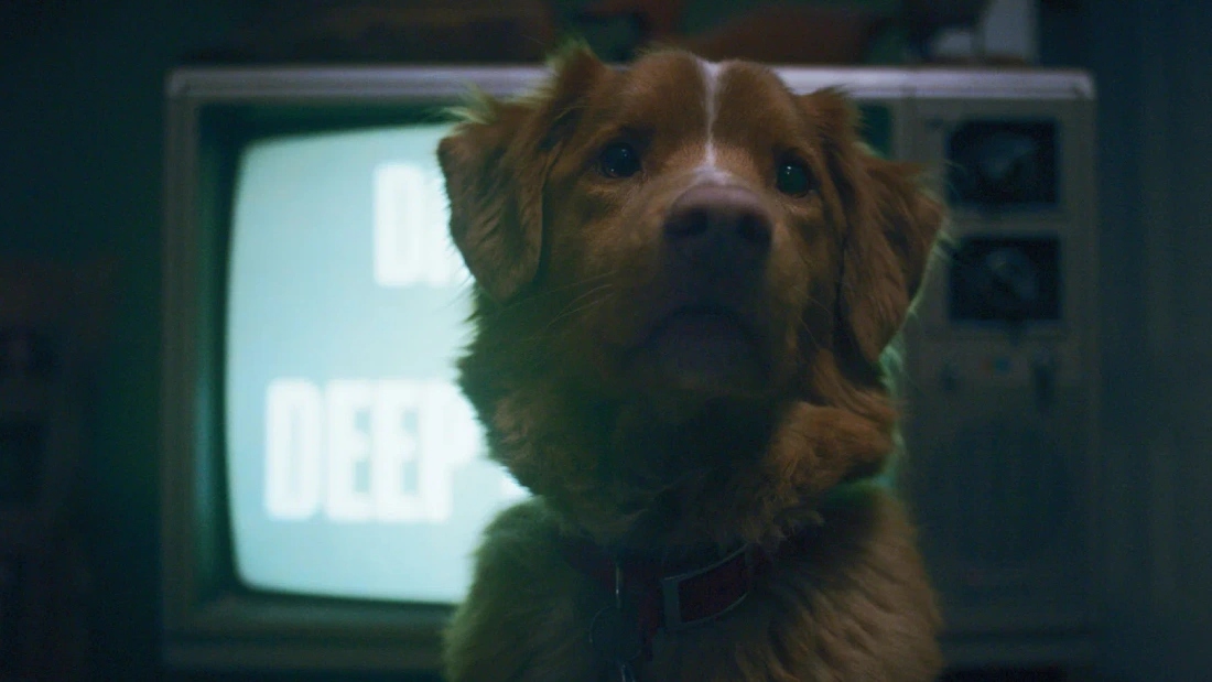 в чем суть фильма глазами пса