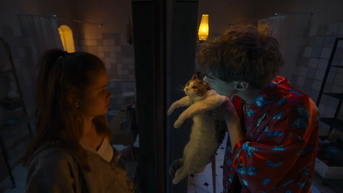 сводишь с ума смысл