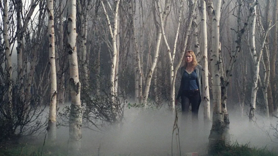 звонок 2 2005 объяснение