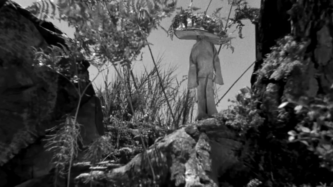 горный алтай фильм