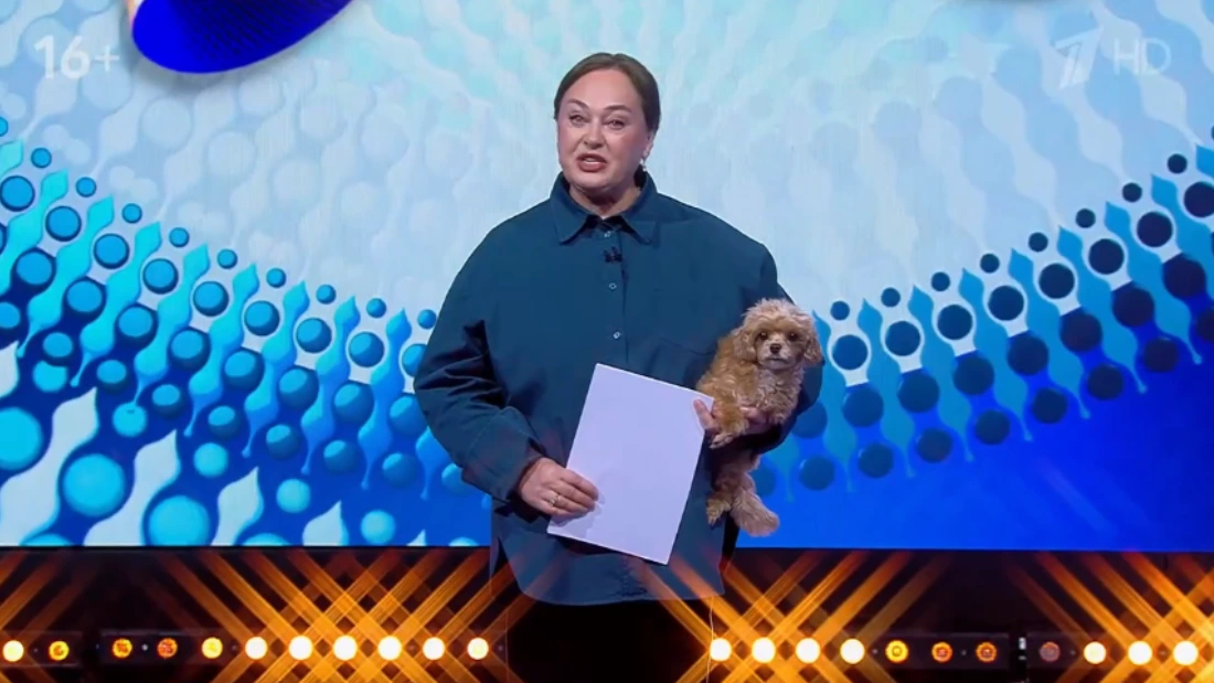 Давай поженимся 02.12.2025