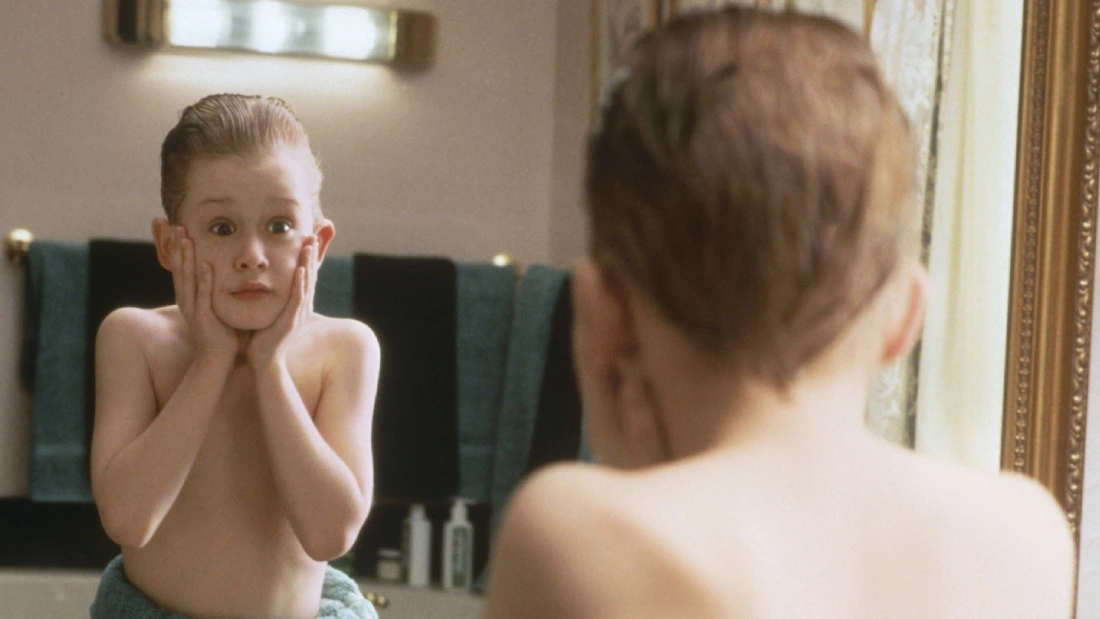 один дома анализ